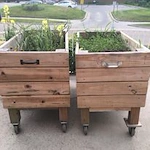 Image of Trinity Center At Luther Park (4)