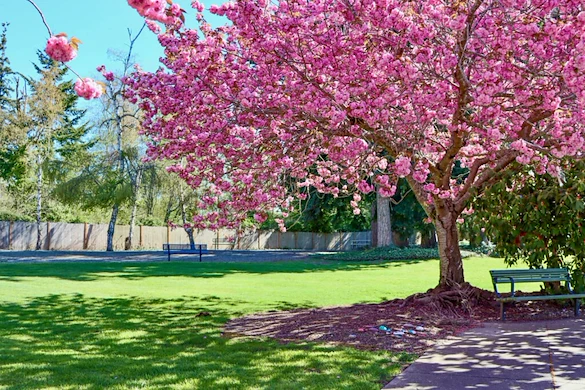 Image of Avalon Healthcare – Bellingham (8)