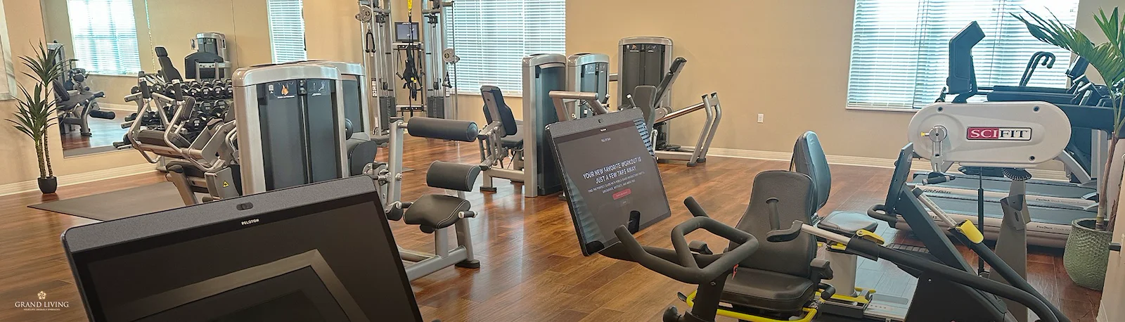 Image of Grand Living at Wellen Park (4)