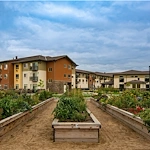 Image of Affinity at Loveland (10)