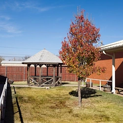 Image of Willowcreek Rehab & Nursing (2)