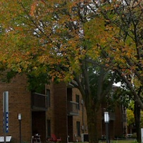 Image of Woodside Oaks (1)