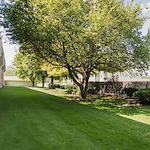 Image of Maple Park (6)