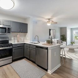 Image of Chester Village (4)