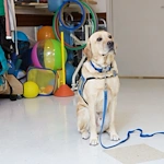 Image of Meadowbrook Healthcare & Rehabilitation Center (7)