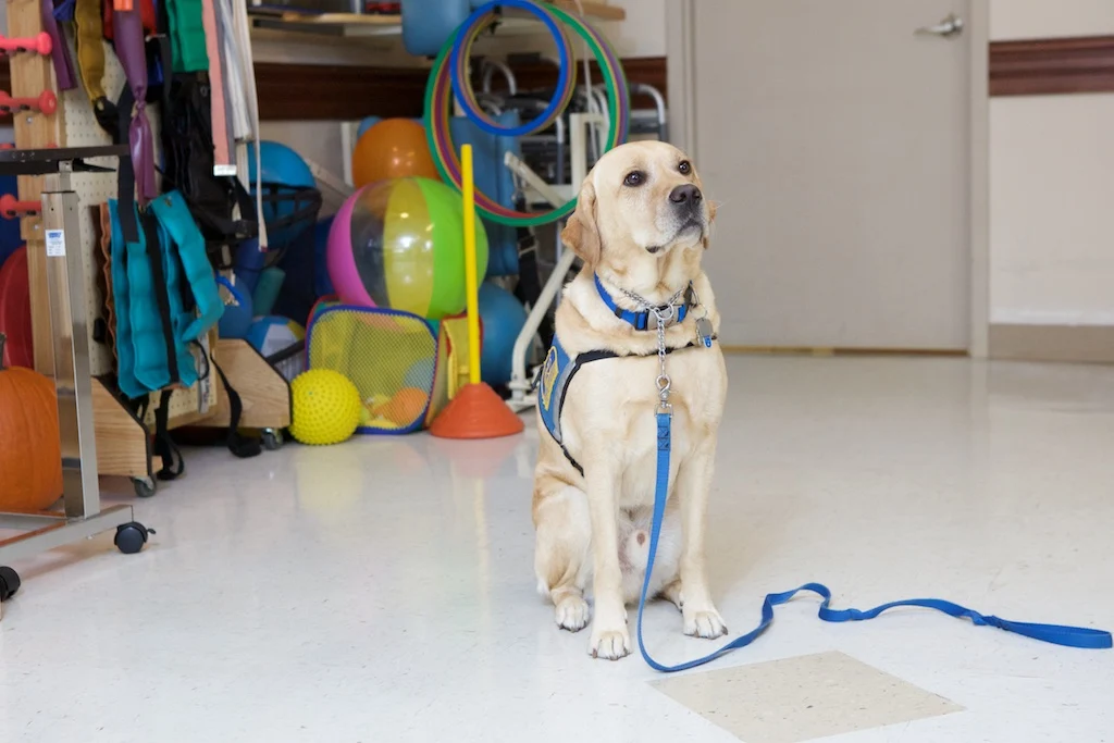 Image of Meadowbrook Healthcare & Rehabilitation Center (7)