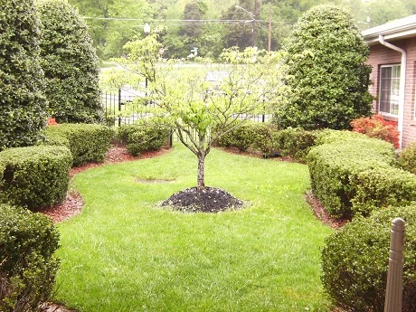 Image of Holston Health & Rehabilitation (3)