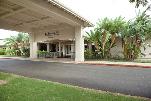 Image of Ka Punawai Ola (1)