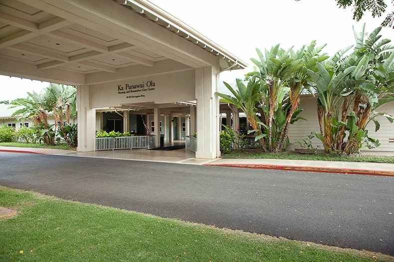 Image of Ka Punawai Ola (1)