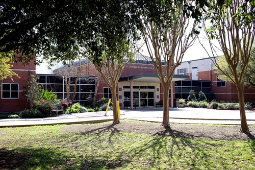 Image of St Dominic Village Nursing Home (1)