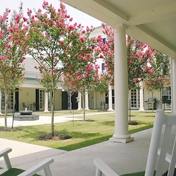 Image of Prestonwood Court Assisted Living & Memory Care (2)