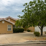 Image of Haven Care - Evergreen (2)