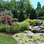 Image of Bethesda Terrace (8)