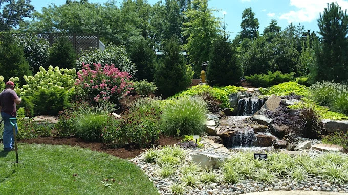 Image of Bethesda Terrace (8)