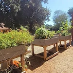 Image of Russell House (4)