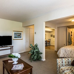 Image of New Perspective | Roseville (Lake Owasso) (2)