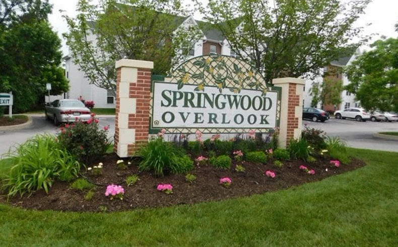 Image of Springwood Overlook (2)