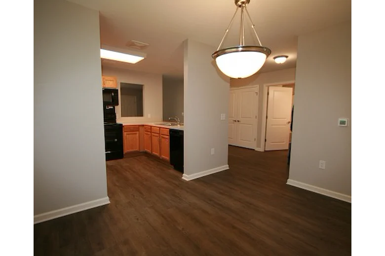 Image of The Village at Dupont Landing (7)