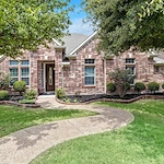 Image of Silver Leaf Frisco (1)