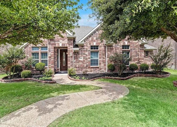 Image of Silver Leaf Frisco (1)