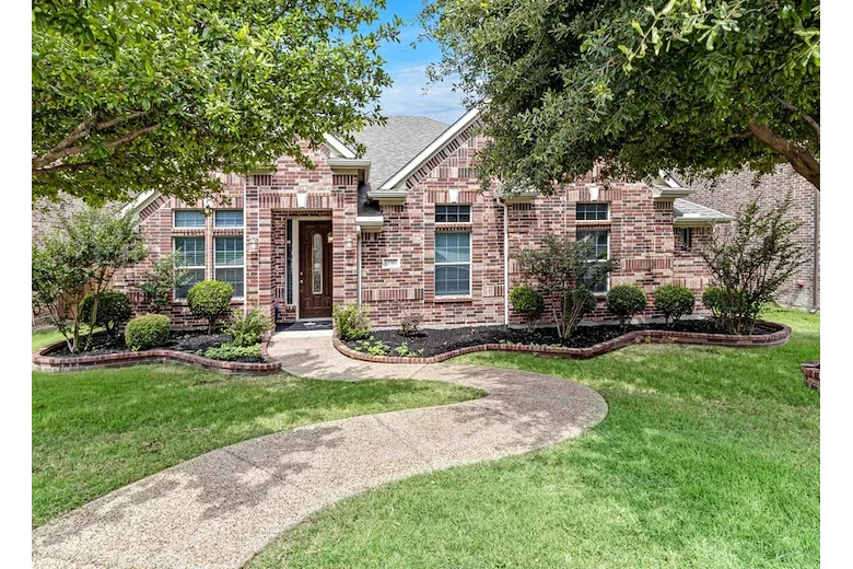 Image of Silver Leaf Frisco (1)