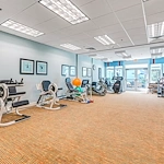 Image of Camellia at Deerwood (4)