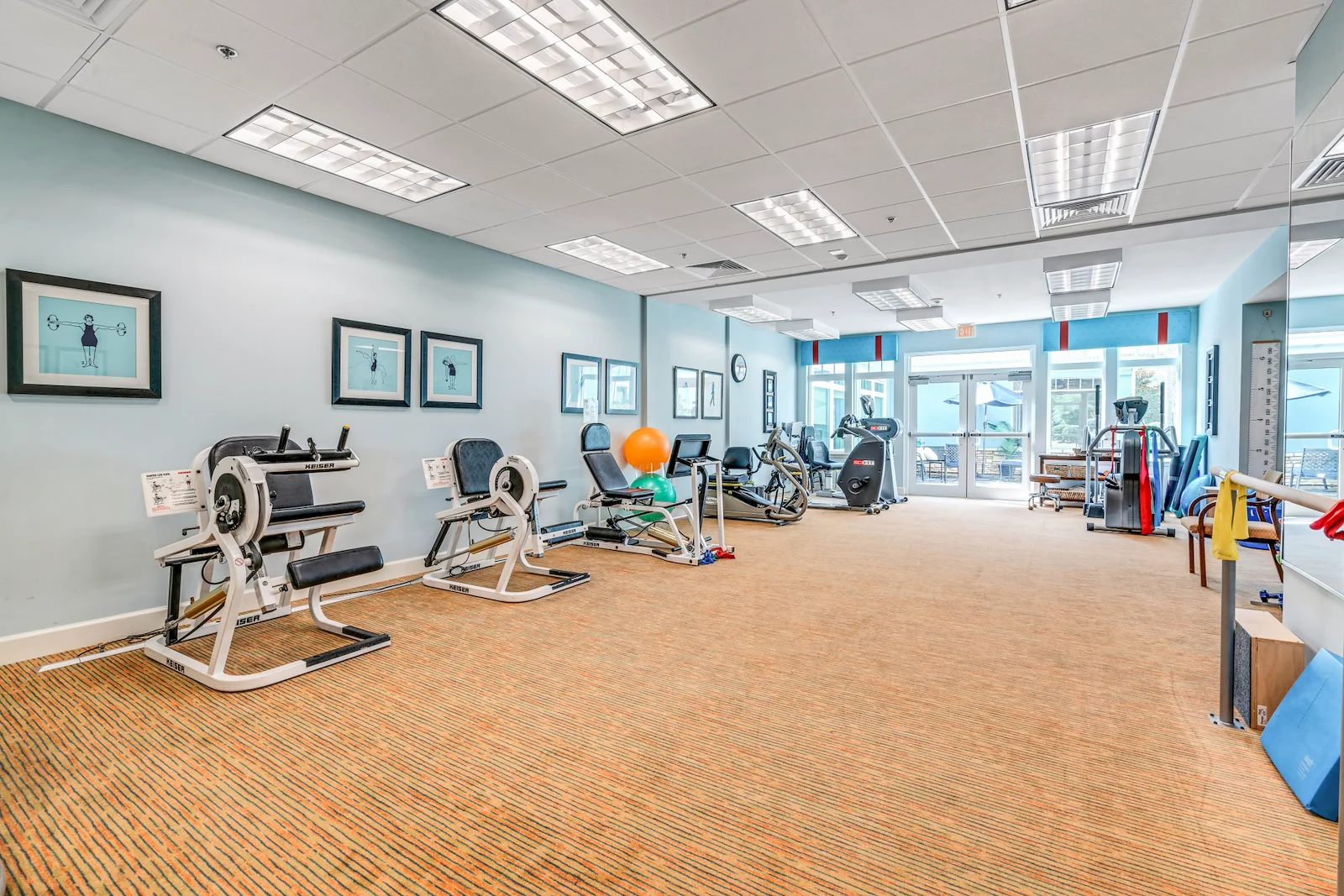 Image of Camellia at Deerwood (4)