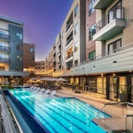 Image of The Doliver of Tanglewood (1)