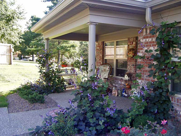 Image of The Meadows of Guerin (1)