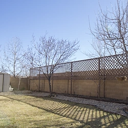 Image of North Star Adult Care Home (4)