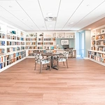 Image of Thunderbird (6)