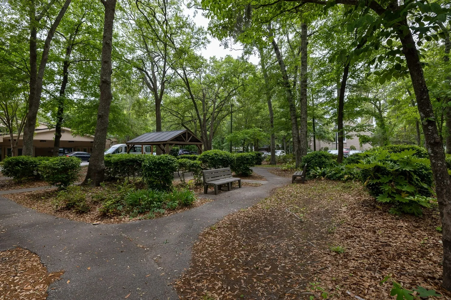 Image of Ashley River Healthcare (9)