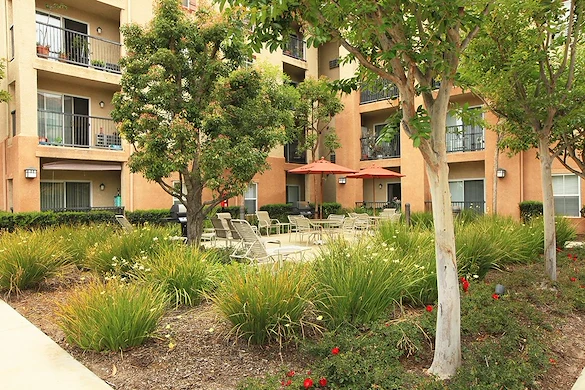 Image of Sungrove Senior Apartment Homes (3)