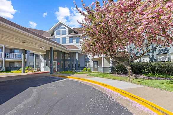 Image of Virginian (1)