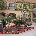 Image of Park Terrace (4)