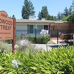 Image of Redwood Retreat (1)