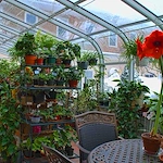 Image of New Horizons at Marlborough (2)