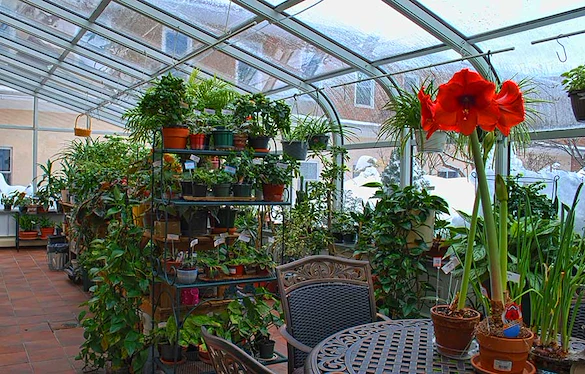 Image of New Horizons at Marlborough (2)