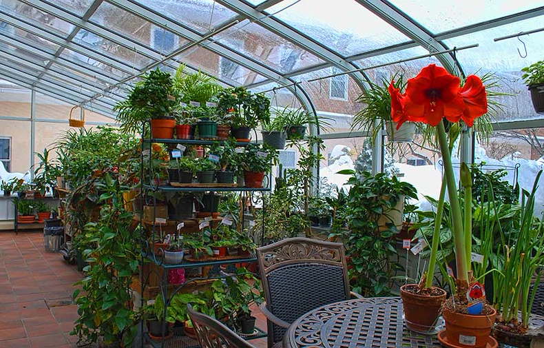 Image of New Horizons at Marlborough (2)