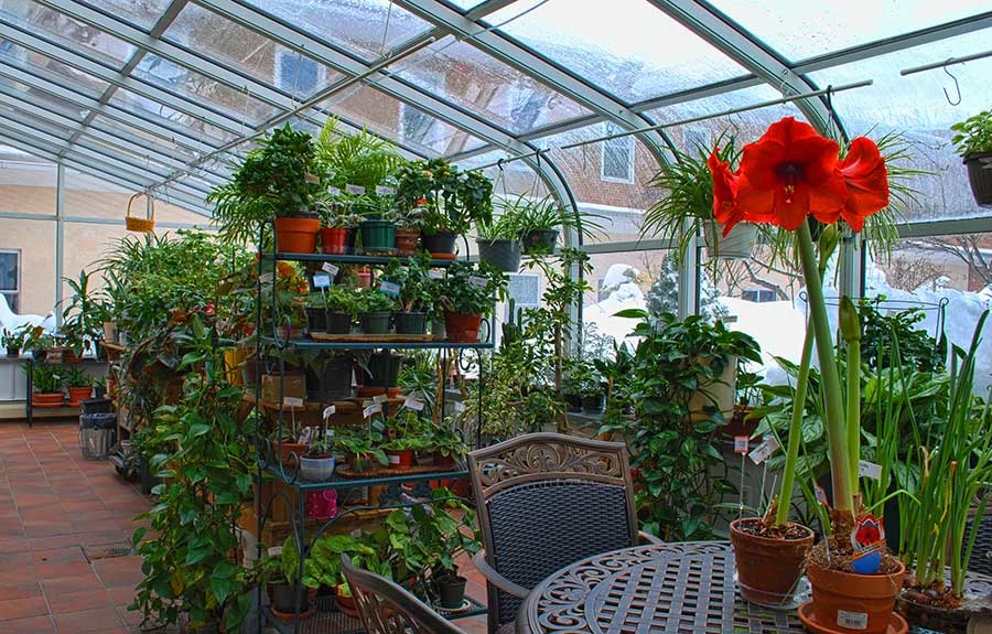 Image of New Horizons at Marlborough (2)