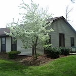 Image of The Bayberry Inn at Beckley (1)