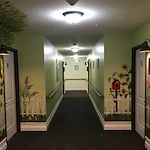 Image of The Oasis of Clio (3)