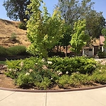 Image of Golden Sonora Care Center (3)