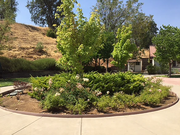 Image of Golden Sonora Care Center (3)