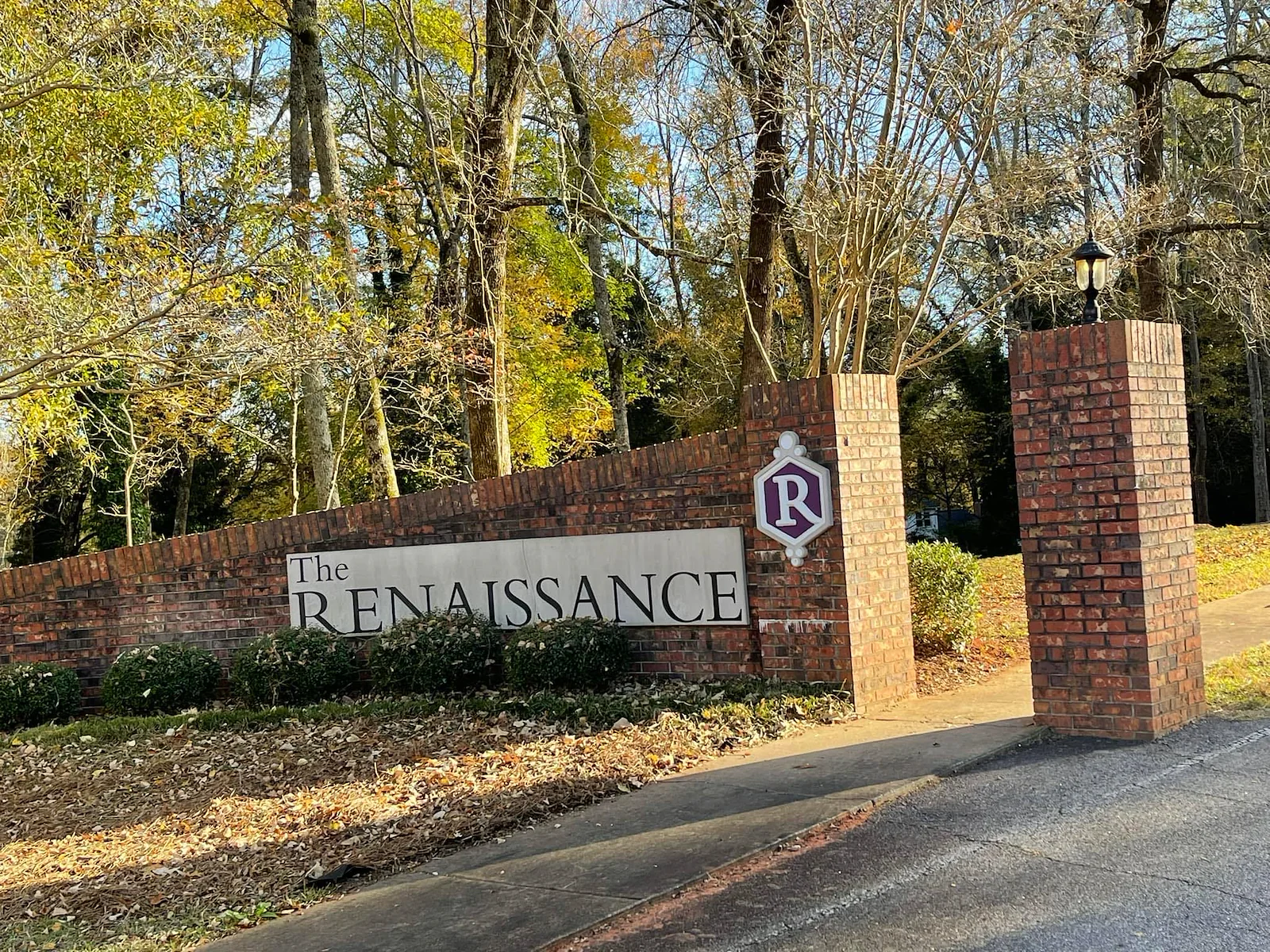 Image of The Renaissance (1)