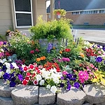 Image of Oak Creek Senior Living (4)