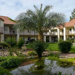 Image of Atria Chandler Villas (4)
