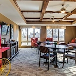 Image of Silver Birch at Cook Road (2)