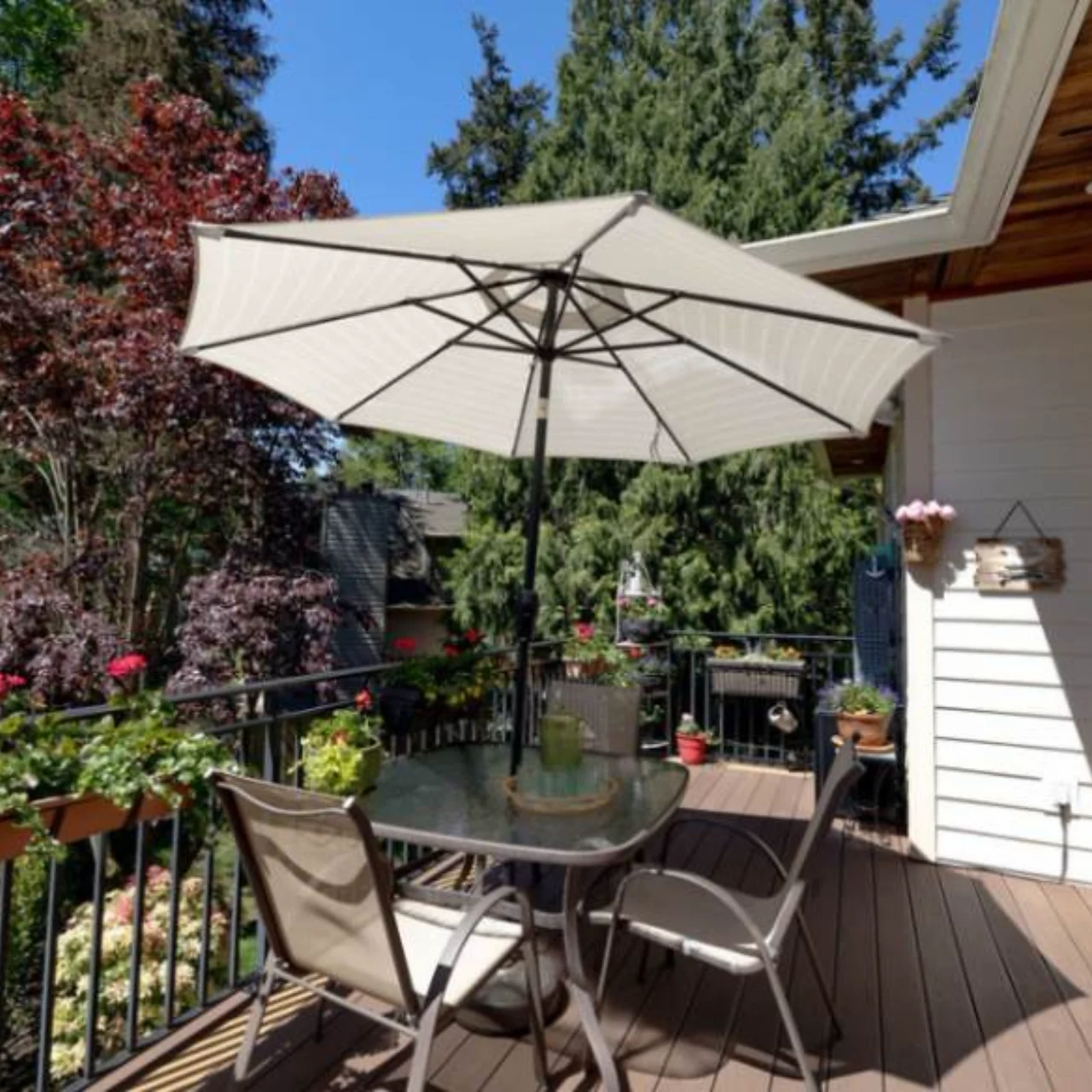 Image of Kelsey Creek Senior Care (3)