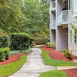 Image of University Pines - Sky Active Living (10)